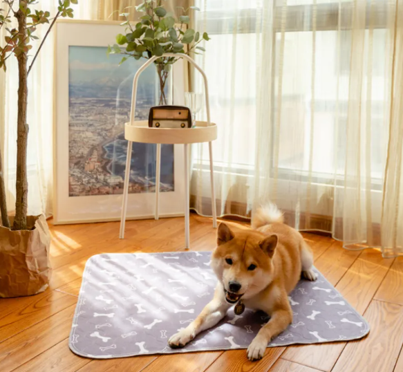 Popular Urinal Pad For Pet Printing Dog Training Household Feeding Mat